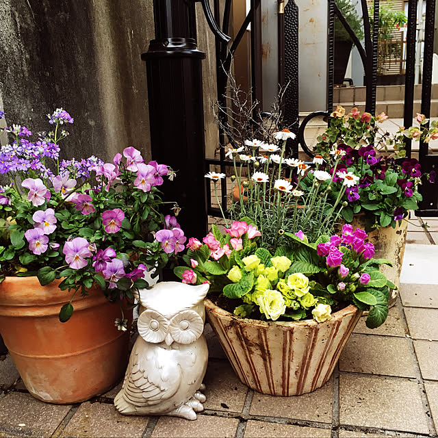 Satorahappyさんの実例写真