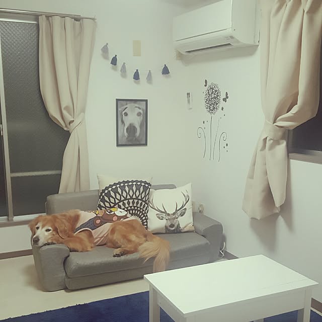 teoteoさんの実例写真