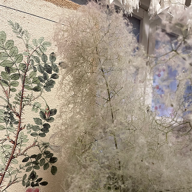 asako.10さんの部屋