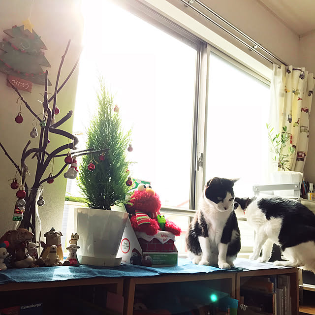 実例写真