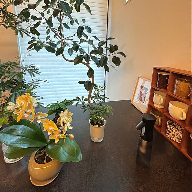 Minaさんの部屋