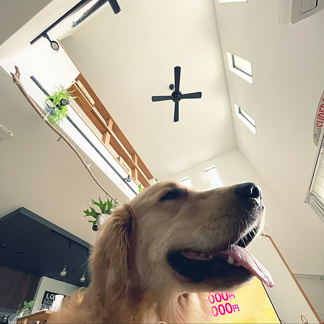 marinkoさんの実例写真