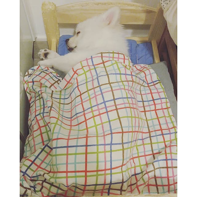 Belleさんの実例写真