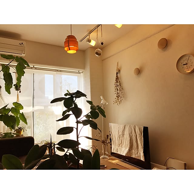 Hisayoさんの実例写真