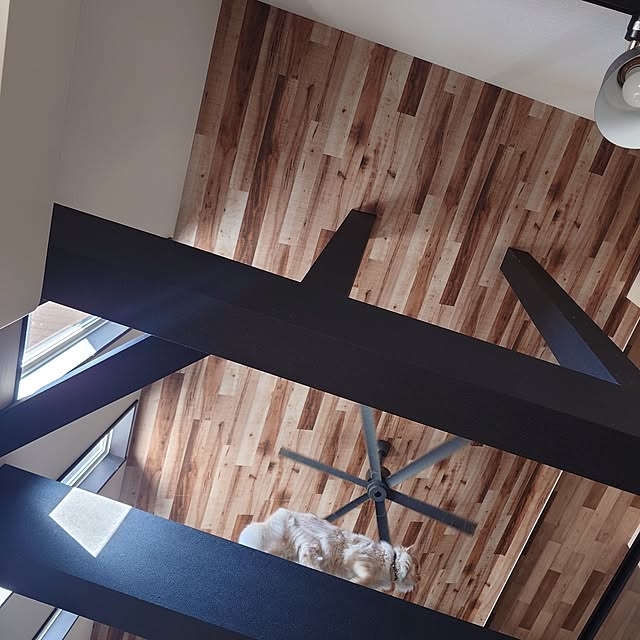 Natte_0429_1010さんの部屋