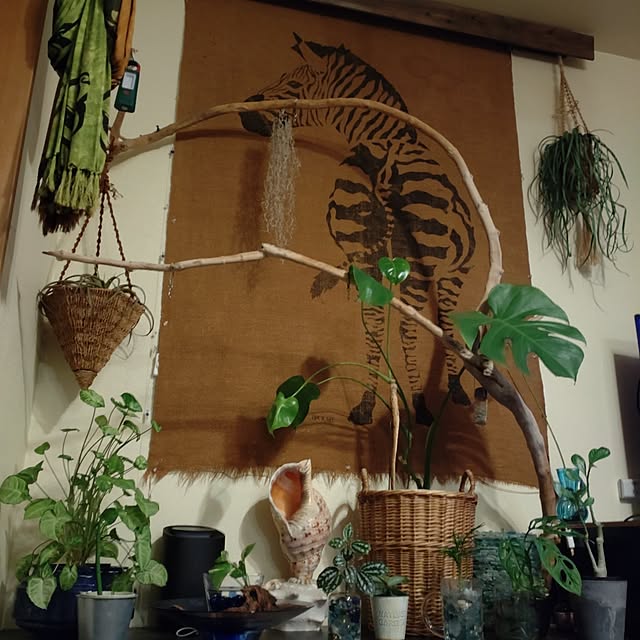 kokiaさんの部屋