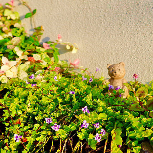 rukakoさんの実例写真