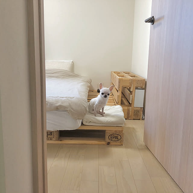 elephant_08さんの実例写真