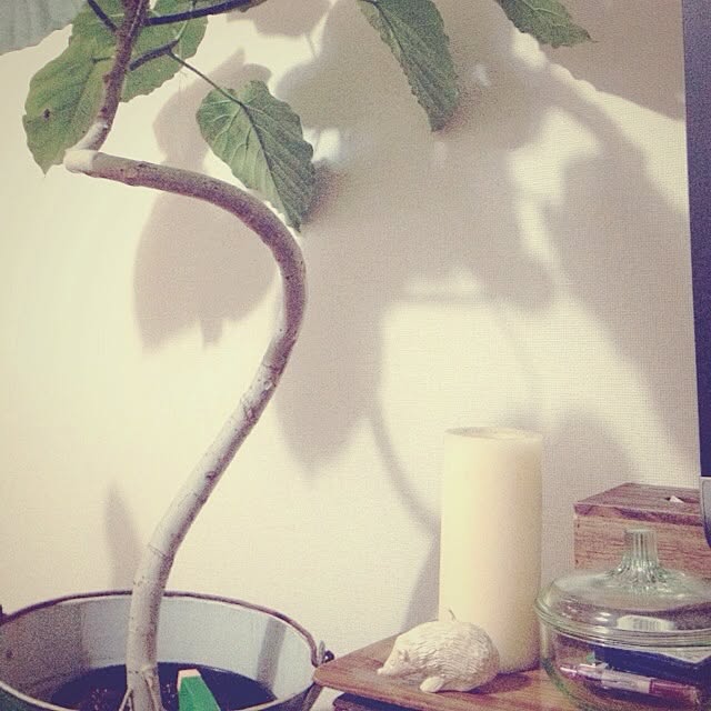 11115さんの実例写真