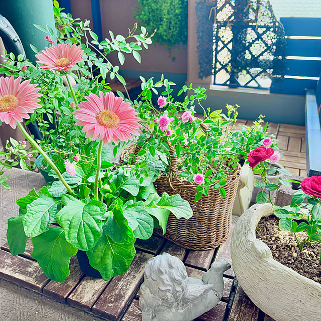 naokoさんの部屋