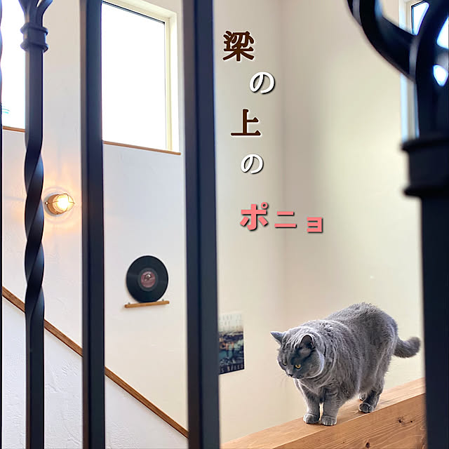 chibinoriさんの実例写真