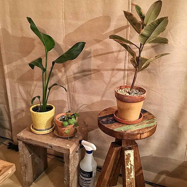 cafe-plageさんの実例写真