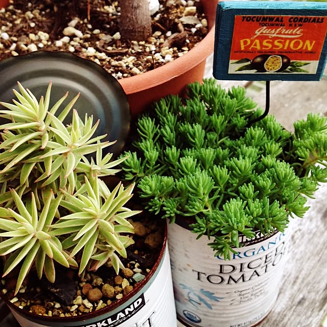 sさんの実例写真