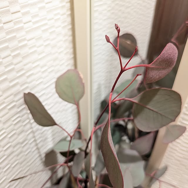 mi-saさんの部屋