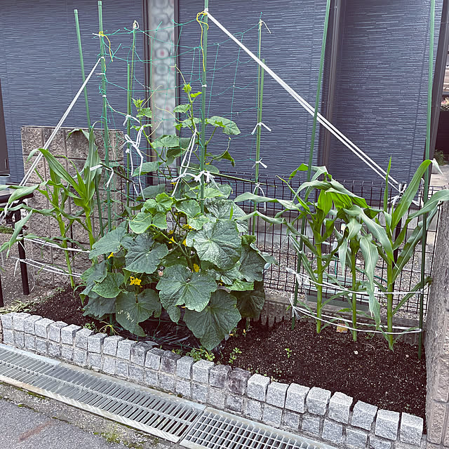 maffy32さんの実例写真