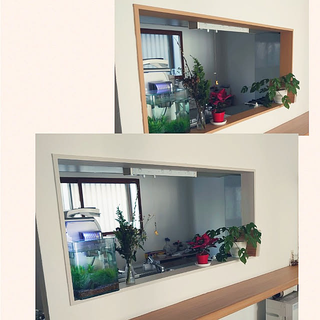 pontaroさんの実例写真