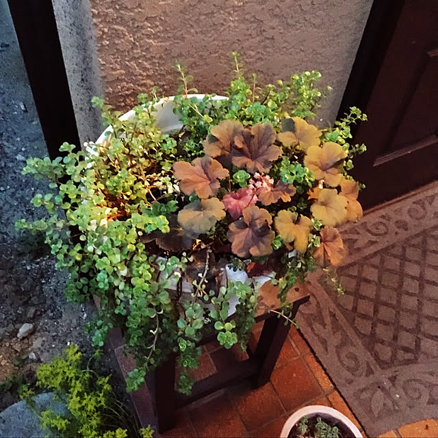 m-ktry.0530mikaさんの実例写真