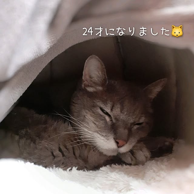 naoporonさんの部屋