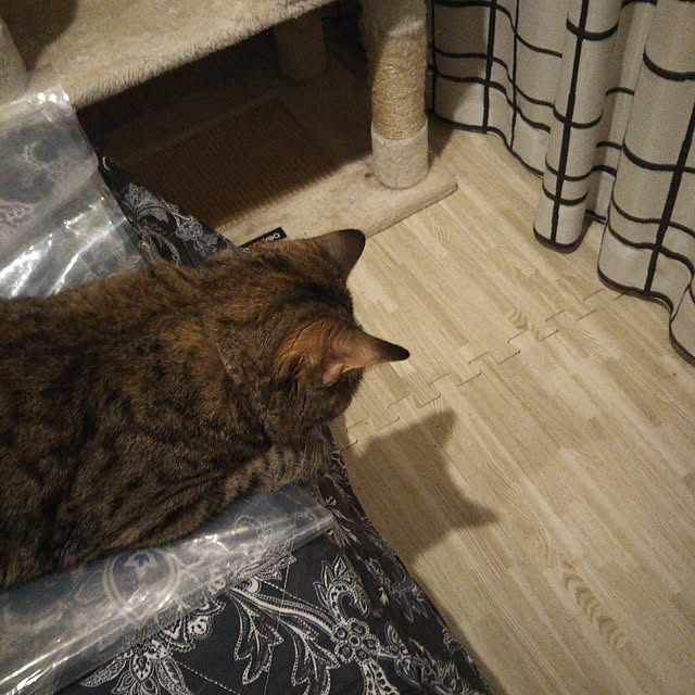 runaさんの実例写真