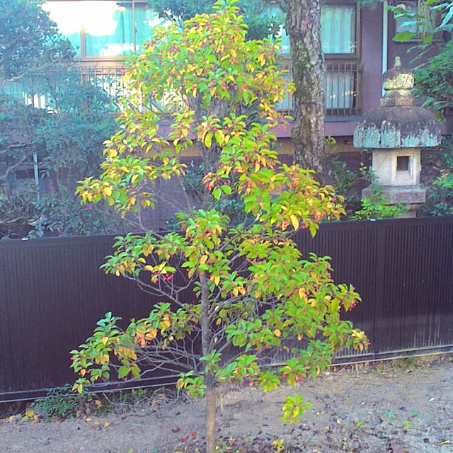 R-TYPEさんの実例写真