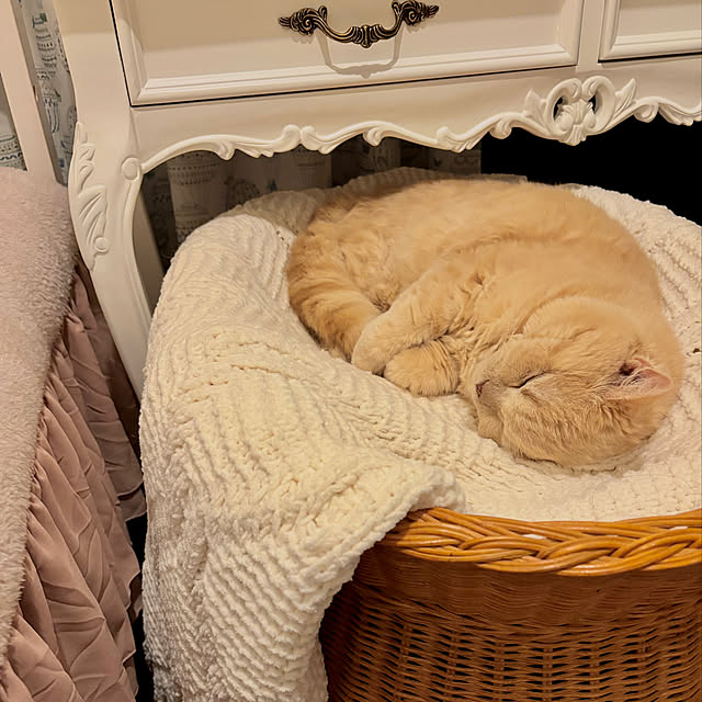naokoさんの実例写真
