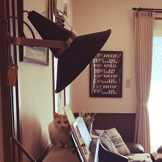 chikaさんの実例写真