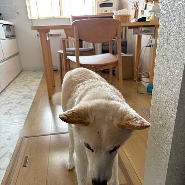 tanboさんの部屋