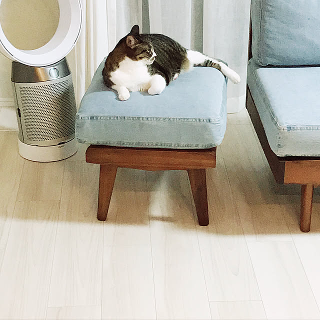 Yuさんの実例写真