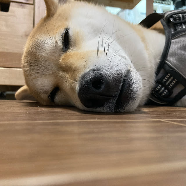 luckyさんの実例写真