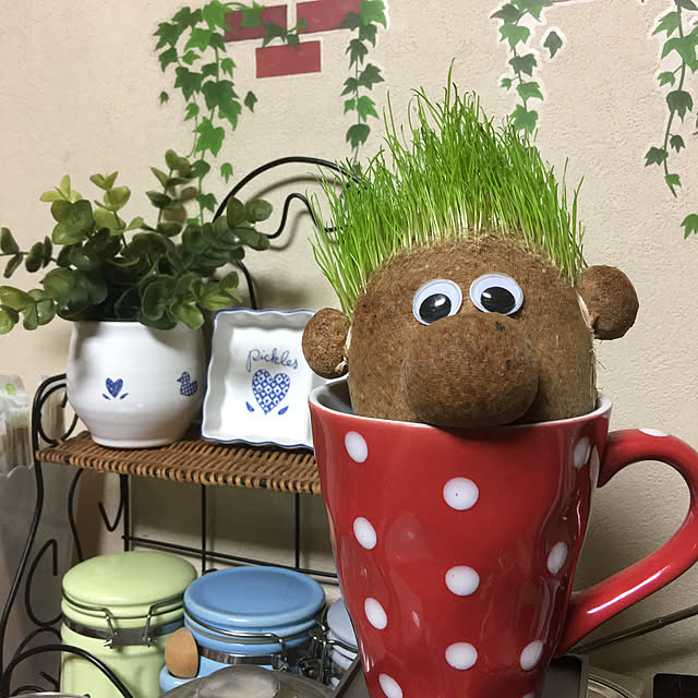 akekuroankoさんの実例写真
