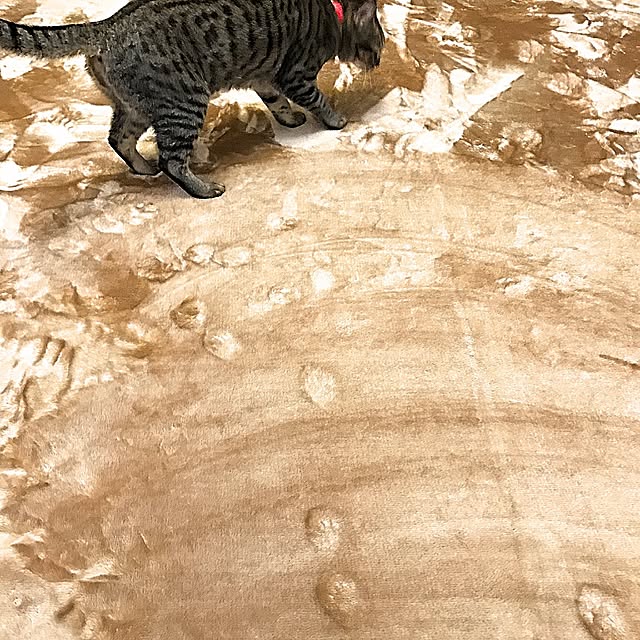 kettiさんの実例写真