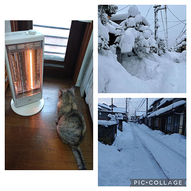 mihomihoさんの実例写真