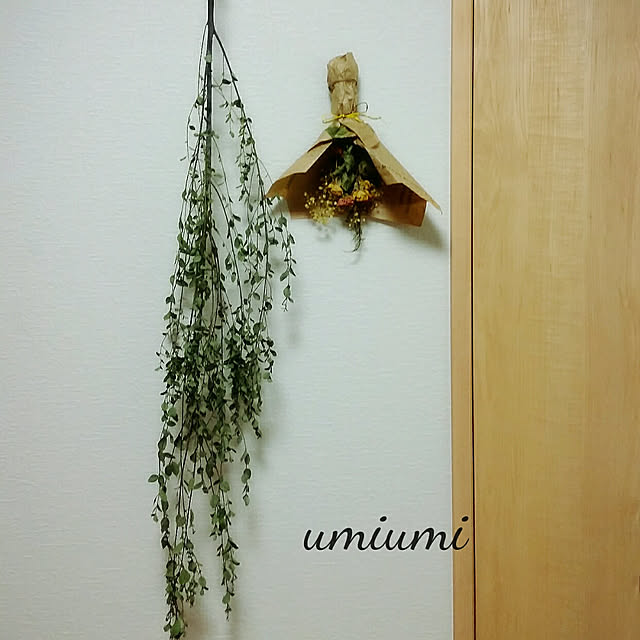 umiumiさんの実例写真
