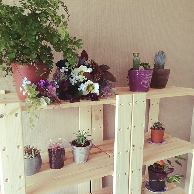ベッド周り/観葉植物/DIY/ナチュラル/雑貨...などのインテリア実例 - 2017-06-04 18:20:43