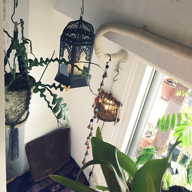 marshさんの実例写真