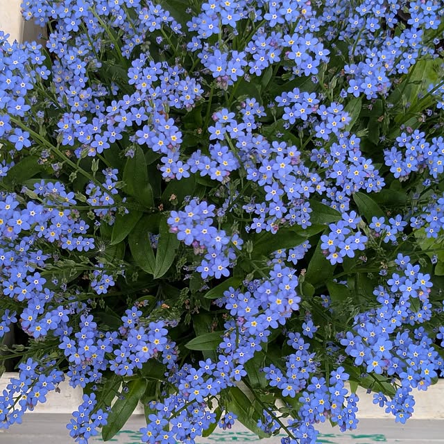 kazuさんの実例写真