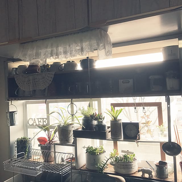 mucc08さんの実例写真