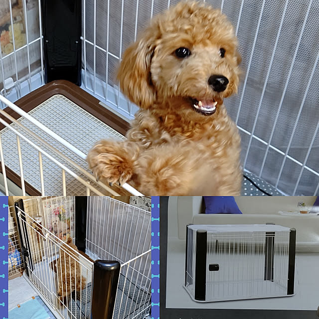 yumirinさんの実例写真
