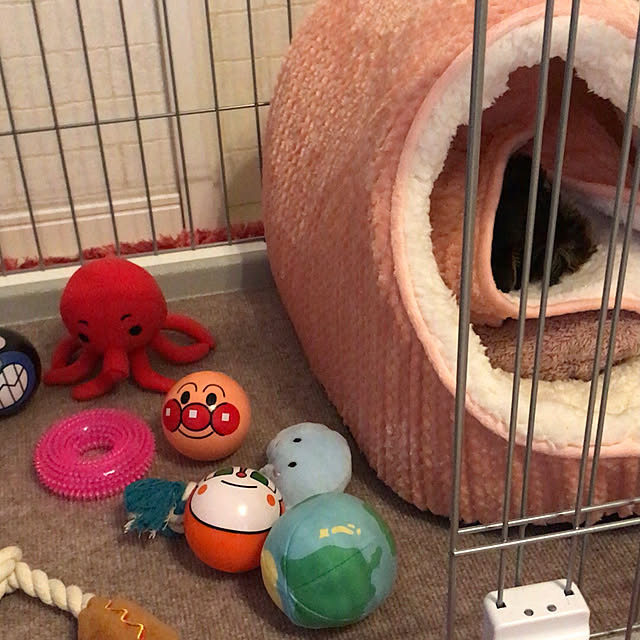 msさんの部屋