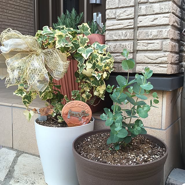 canmilmamaさんの実例写真