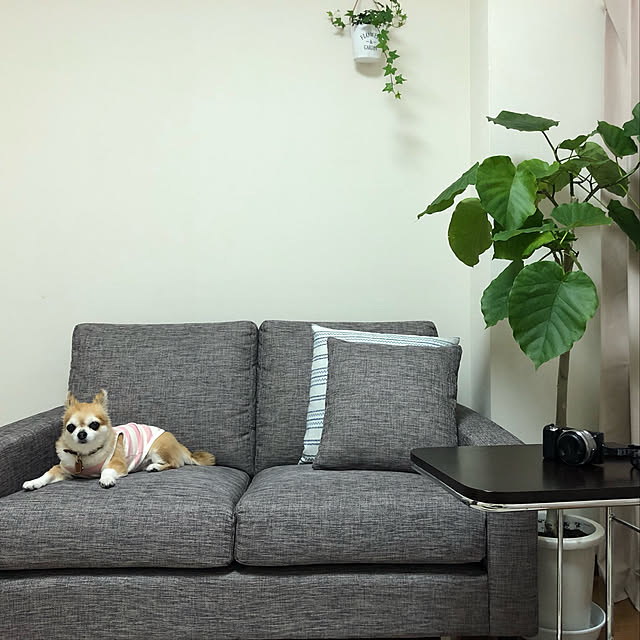 Emiさんの部屋