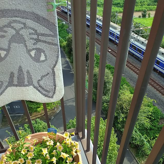 NOAHさんの実例写真