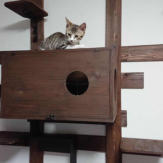 f19fv36.aiさんの実例写真