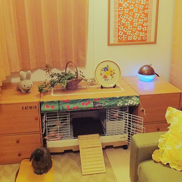 calminさんの実例写真