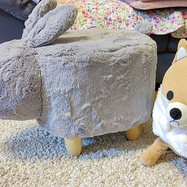 kira.kira.usagiさんの実例写真