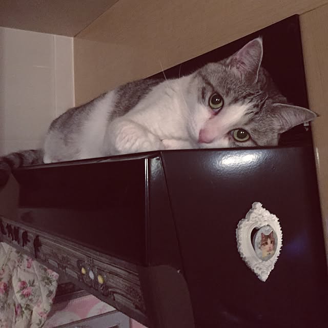 emmyyさんの実例写真