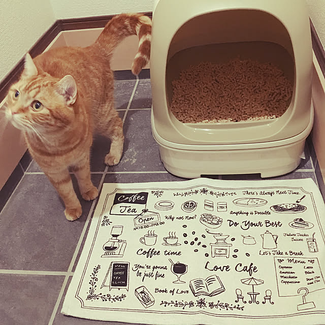 nekoさんの実例写真