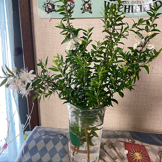 utaさんの実例写真