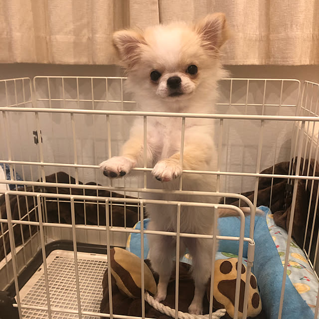 haruさんの実例写真