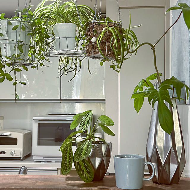 DAYONEさんの実例写真